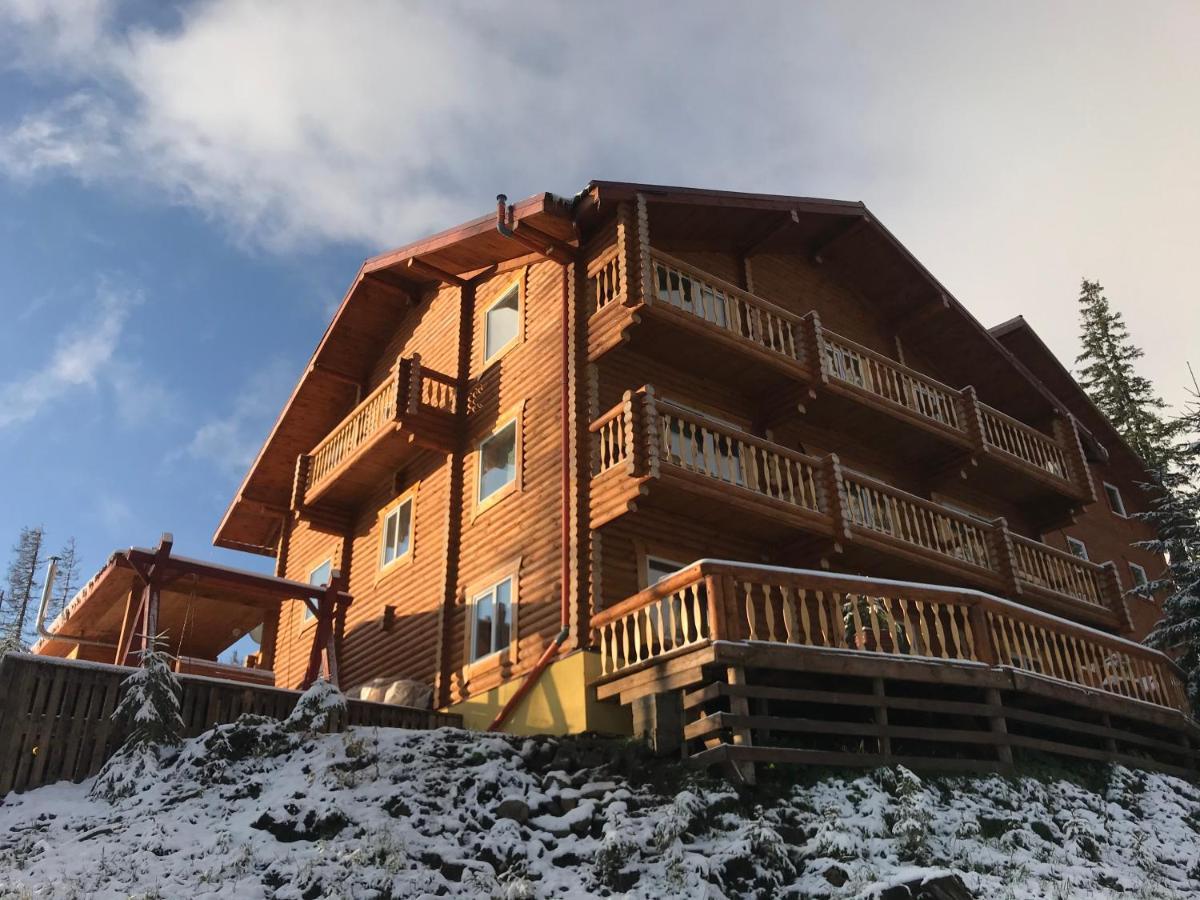 Alpin Eco Chalet & Wellness Dragobrat Εξωτερικό φωτογραφία