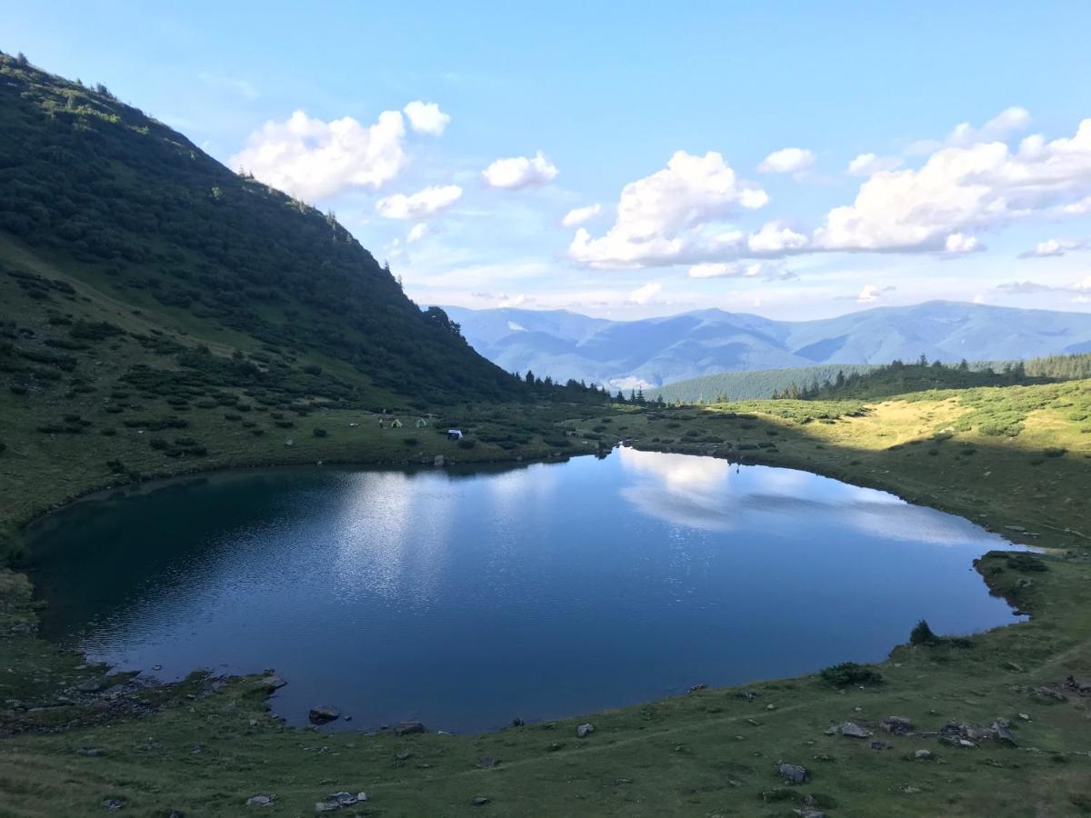 Alpin Eco Chalet & Wellness Dragobrat Εξωτερικό φωτογραφία
